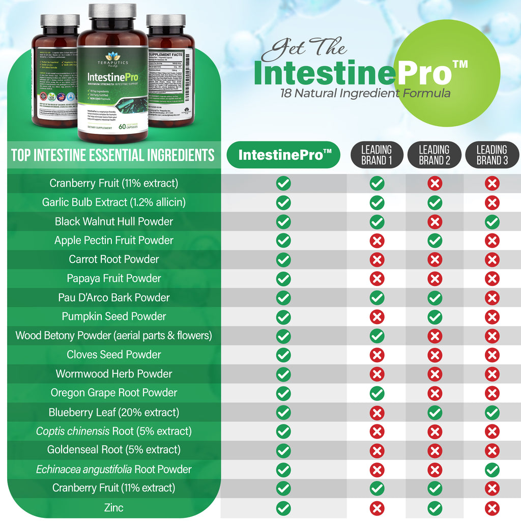 IntestinePro Intestine Support for Humans